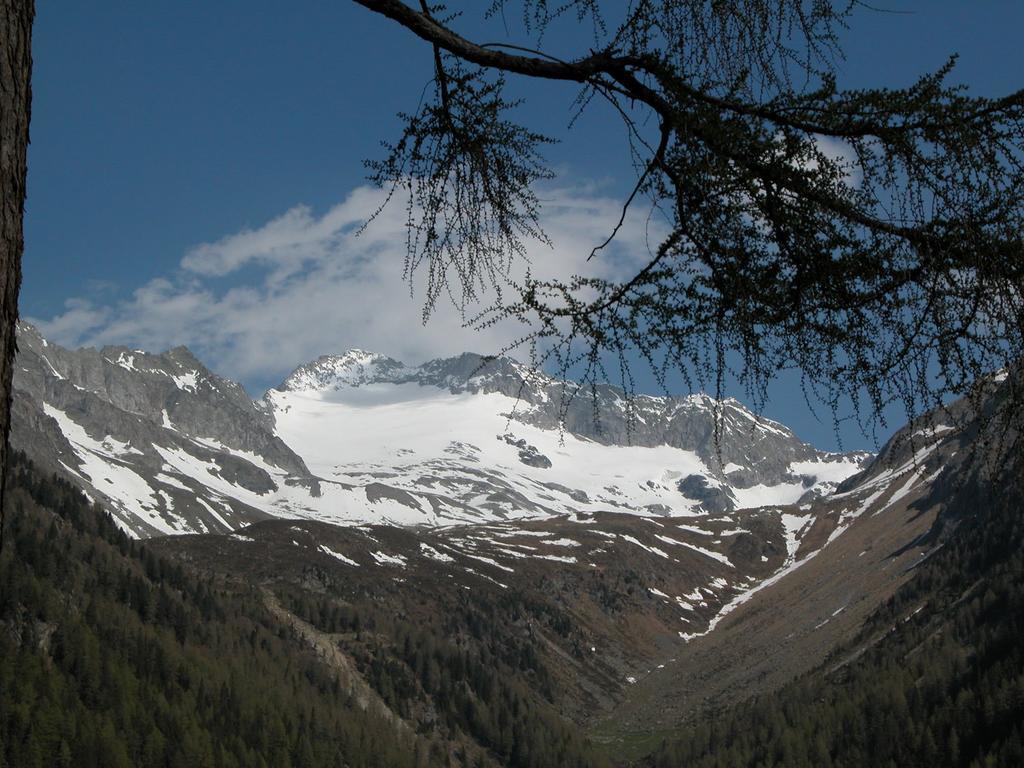 Вилла Feichterhof Voppichler Rio Bianco/Weissenbach Экстерьер фото